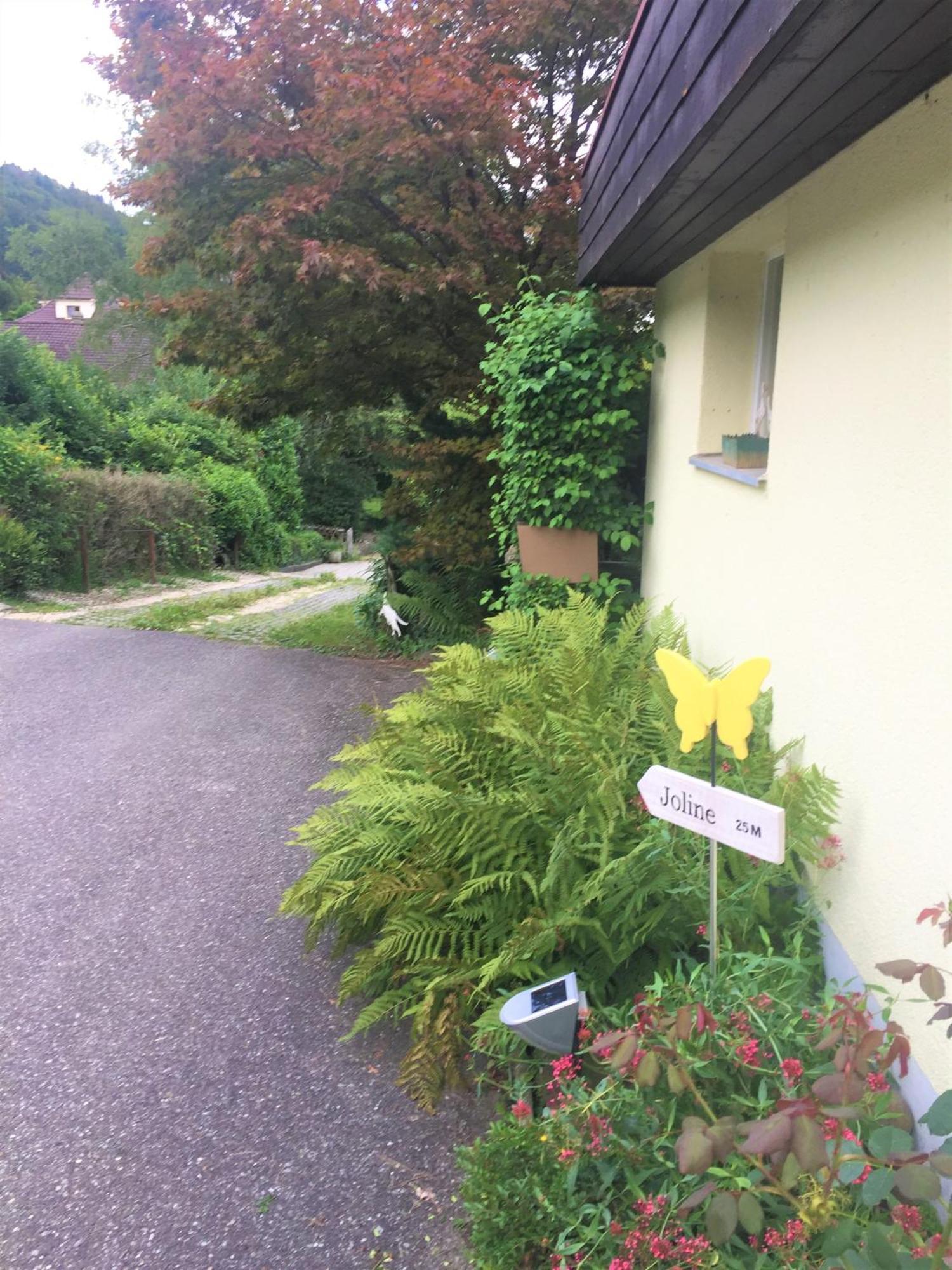 Joline Private Guest Apartment Just Feel At Home Jens Экстерьер фото